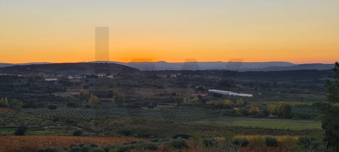 Terreno para Venda em Freixo de Numão Foto 10