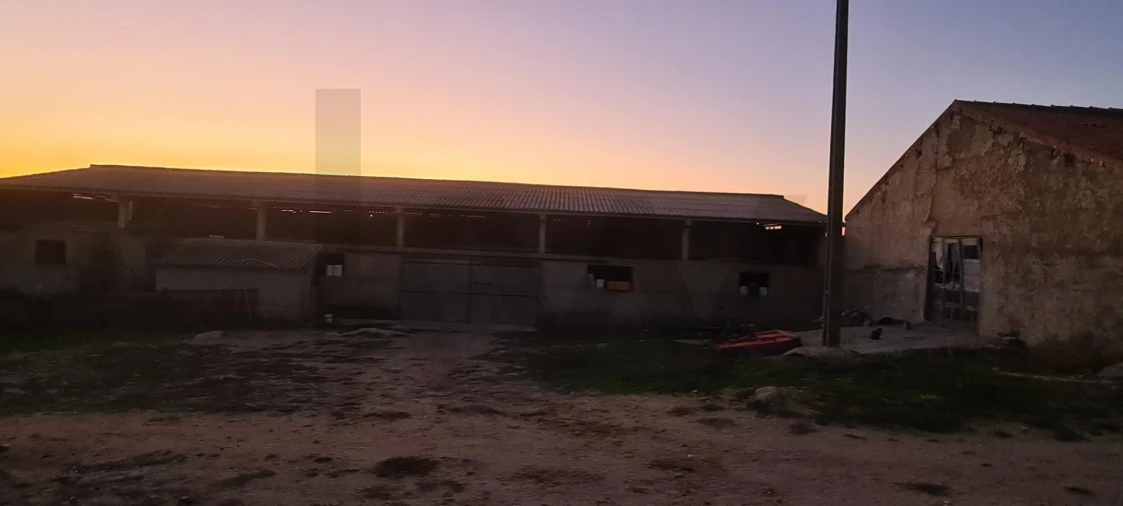 Terreno para Venda em Freixo de Numão Foto 21