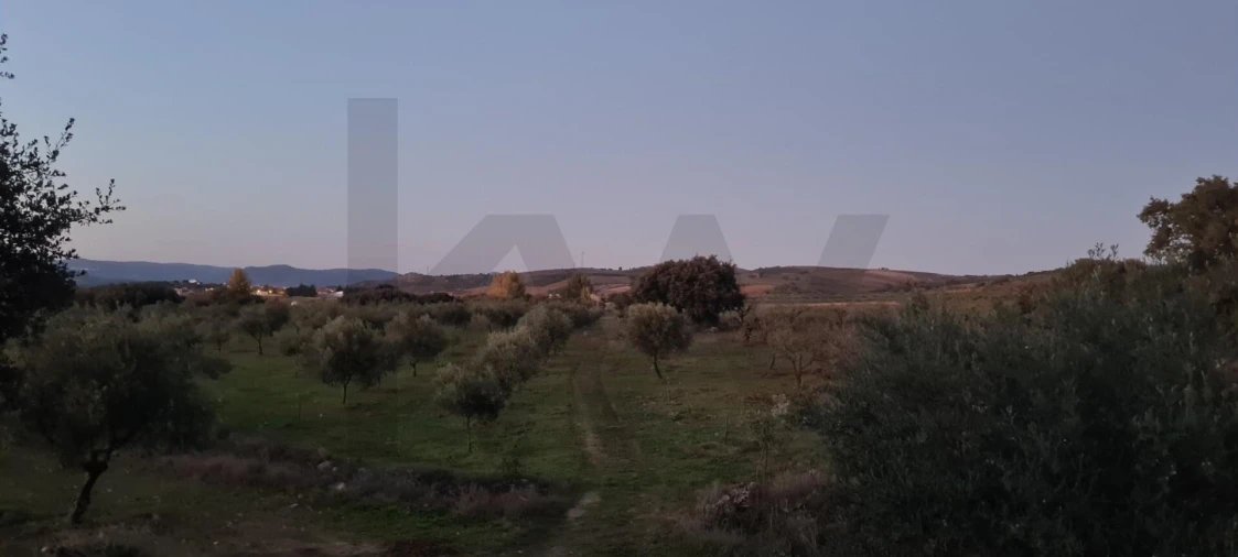 Terreno para Venda em Freixo de Numão Foto 25