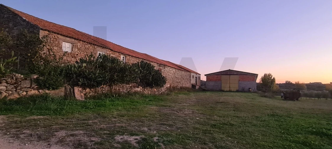 Terreno para Venda em Freixo de Numão Foto 15