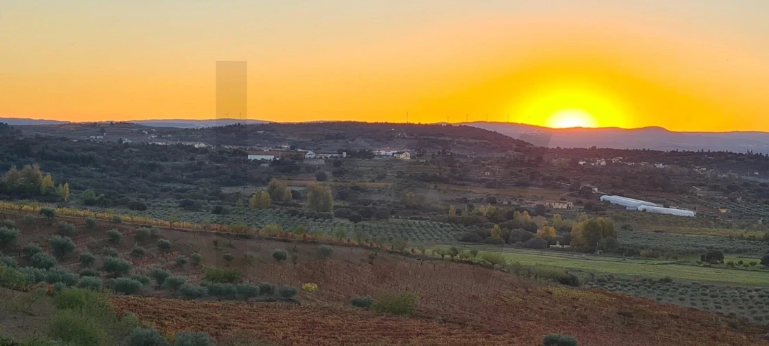 Terreno para Venda em Freixo de Numão Foto 6
