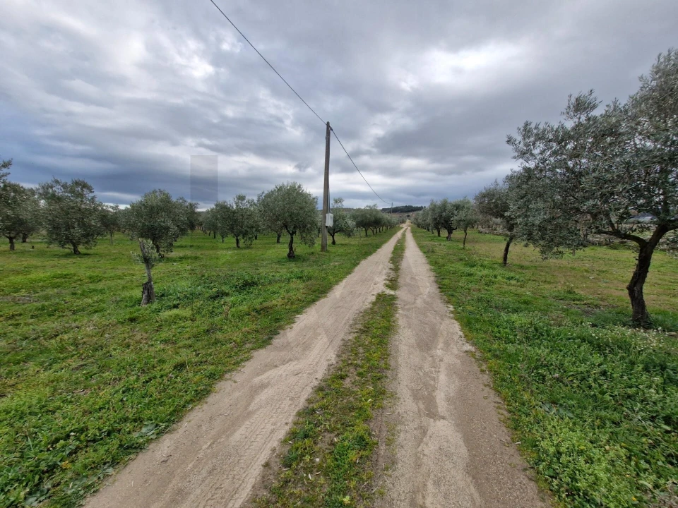 Terreno para Venda em Freixo de Numão Foto 28