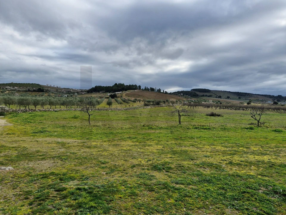 Terreno para Venda em Freixo de Numão Foto 39