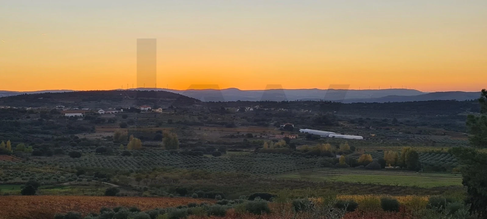 Terreno para Venda em Freixo de Numão Foto 10
