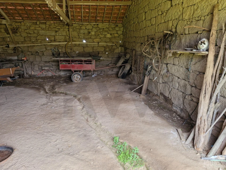Terreno para Venda em Freixo de Numão Foto 44