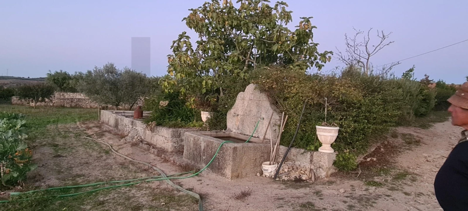Terreno para Venda em Freixo de Numão Foto 16