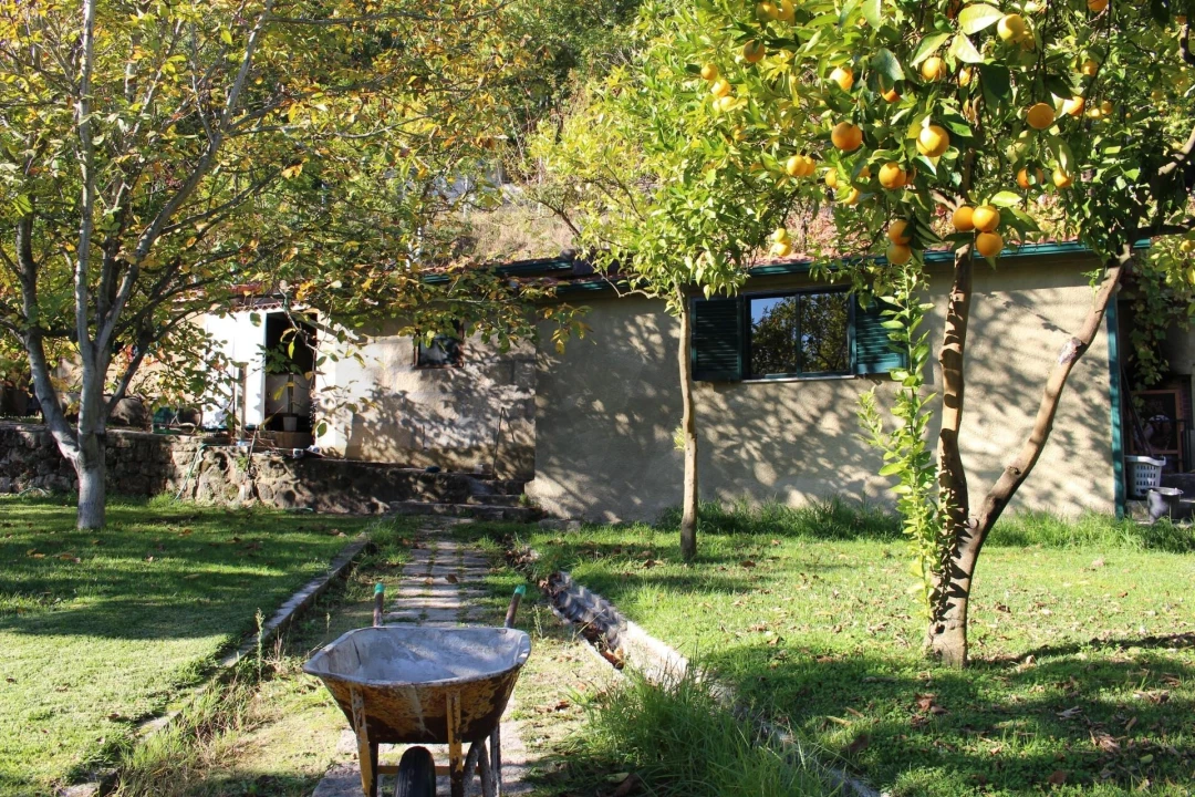 Quinta T2 para Venda em Cinfães Foto 29