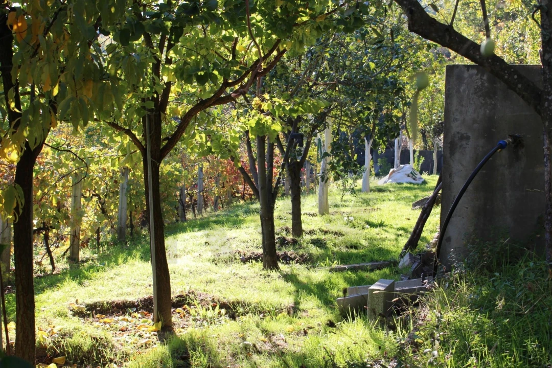 Quinta T2 para Venda em Cinfães Foto 6