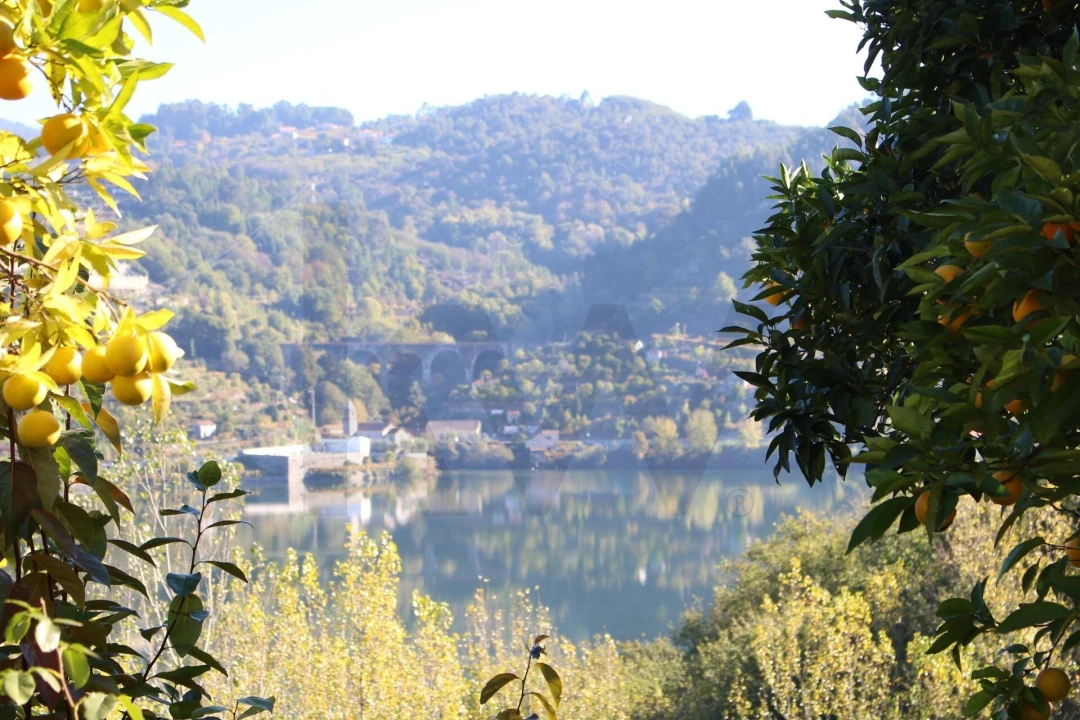 Quinta T2 para Venda em Cinfães Foto 36