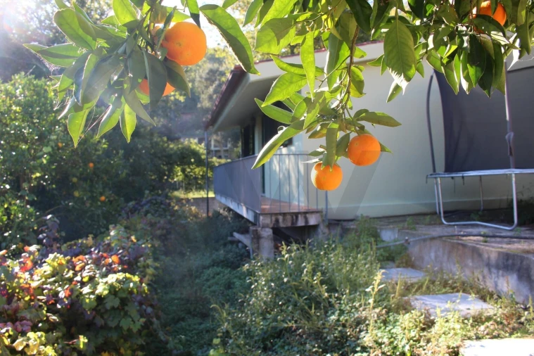 Quinta T2 para Venda em Cinfães Foto 22