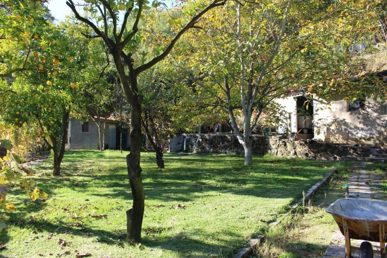 Quinta T2 para Venda em Cinfães Foto 28