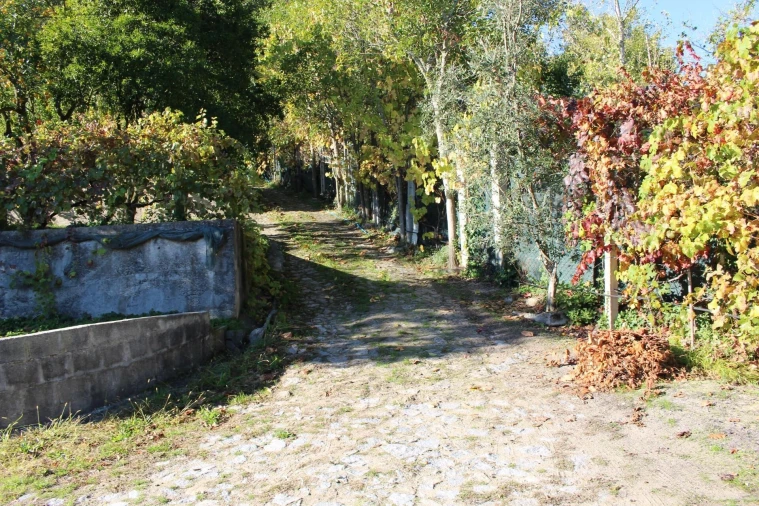 Quinta T2 para Venda em Cinfães Foto 9