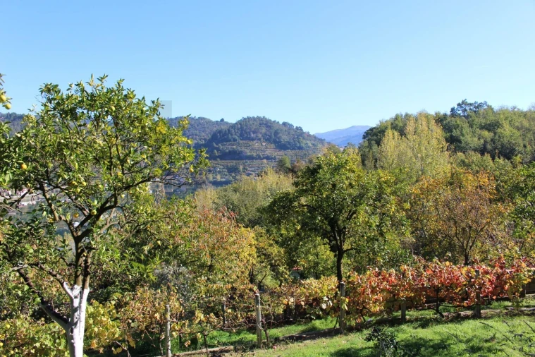 Quinta T2 para Venda em Cinfães Foto 41