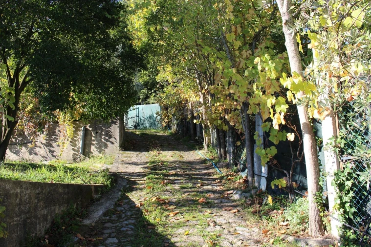 Quinta T2 para Venda em Cinfães Foto 5