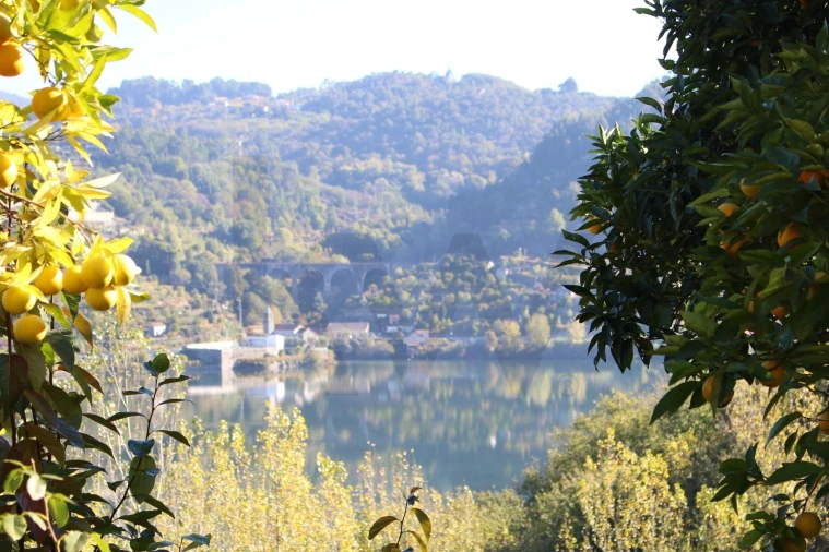 Quinta T2 para Venda em Cinfães Foto 36