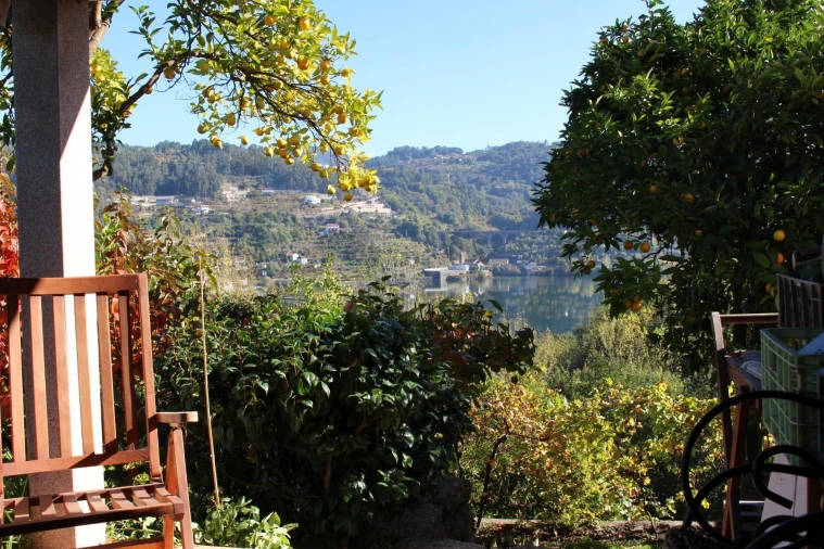 Quinta T2 para Venda em Cinfães Foto 26