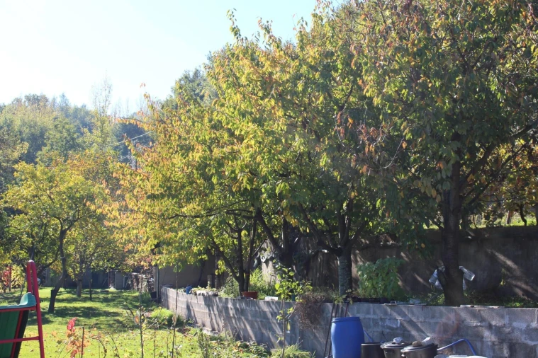 Quinta T2 para Venda em Cinfães Foto 39