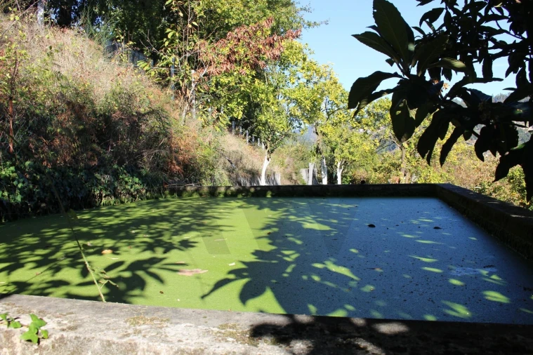 Quinta T2 para Venda em Cinfães Foto 33