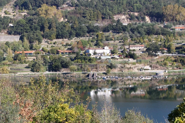 Quinta T2 para Venda em Cinfães Foto 35