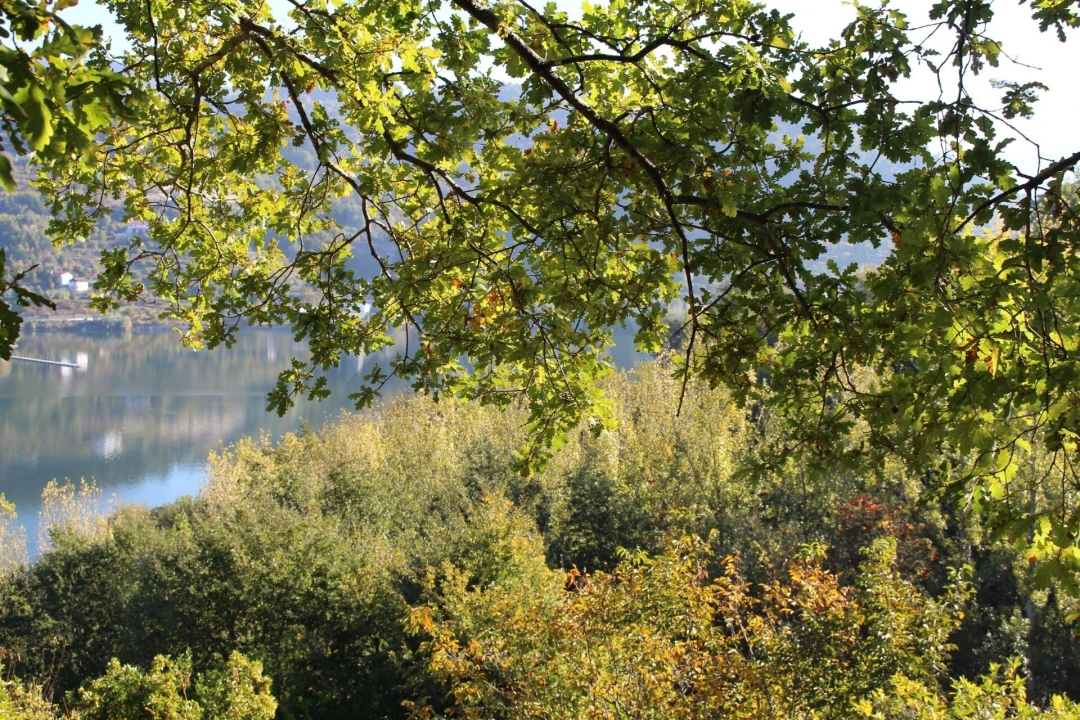 Quinta T2 para Venda em Cinfães Foto 8