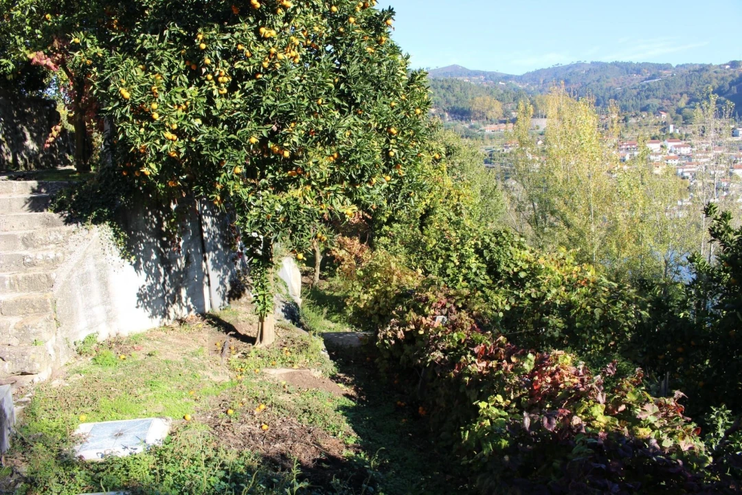 Quinta T2 para Venda em Cinfães Foto 32