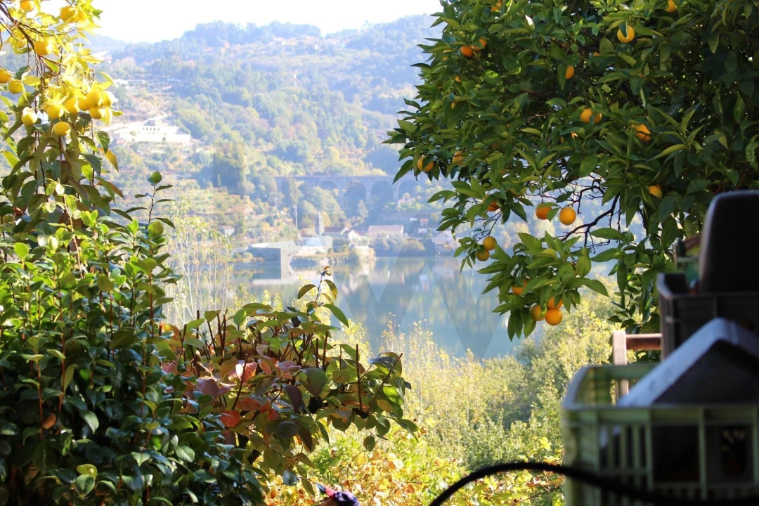 Quinta T2 para Venda em Cinfães Foto 37