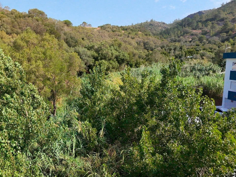 Terreno para Venda em Sesimbra (Santiago) Foto 25