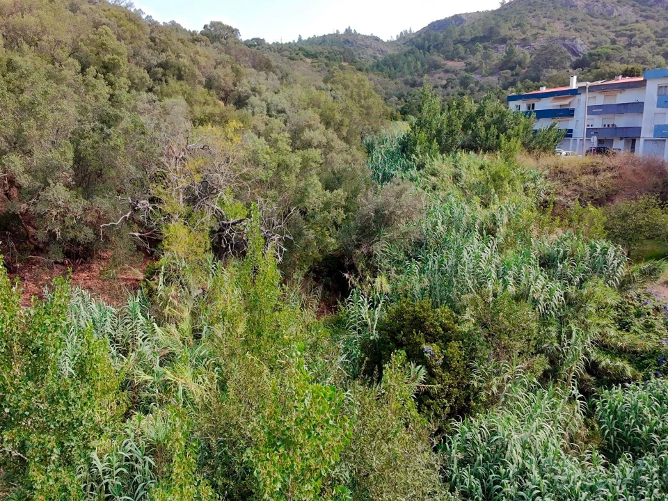 Terreno para Venda em Sesimbra (Santiago) Foto 19