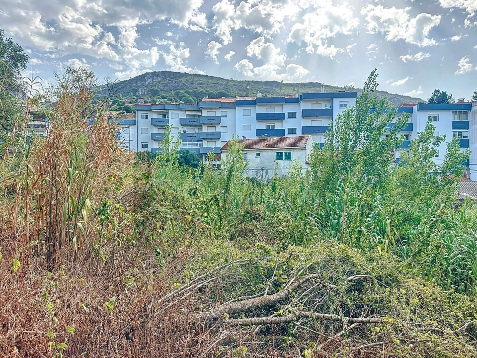 Terreno para Venda em Sesimbra (Santiago) Foto 15