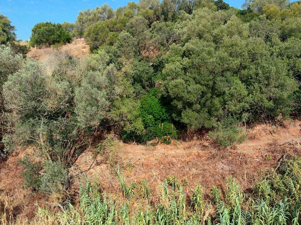 Terreno para Venda em Sesimbra (Santiago) Foto 18