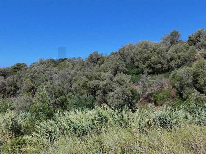 Terreno para Venda em Sesimbra (Santiago) Foto 21
