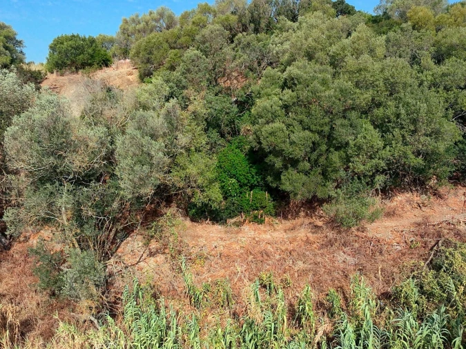 Terreno para Venda em Sesimbra (Santiago) Foto 18