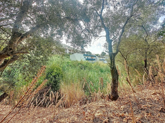 Terreno para Venda em Sesimbra (Santiago) Foto 17