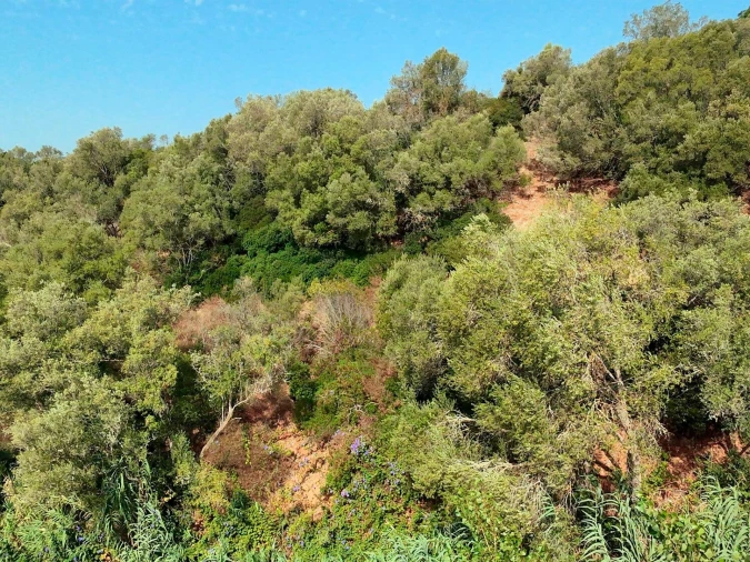Terreno para Venda em Sesimbra (Santiago) Foto 23