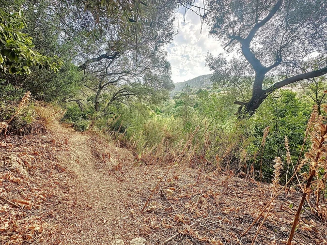 Terreno para Venda em Sesimbra (Santiago) Foto 24