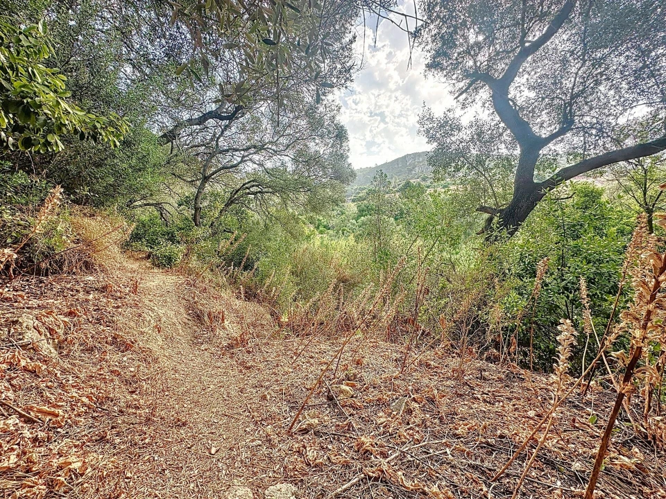 Terreno para Venda em Sesimbra (Santiago) Foto 24
