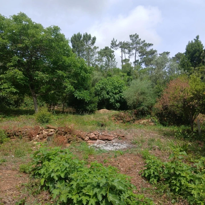 Terreno para Venda em Assafarge e Antanhol Foto 5