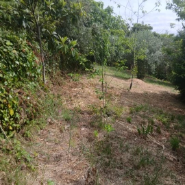 Terreno para Venda em Assafarge e Antanhol