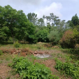 Terreno para Venda em Assafarge e Antanhol