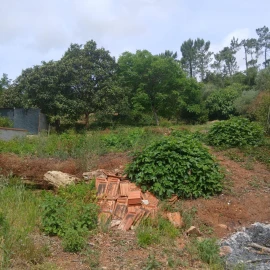 Terreno para Venda em Assafarge e Antanhol