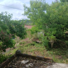 Terreno para Venda em Assafarge e Antanhol