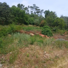 Terreno para Venda em Assafarge e Antanhol