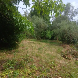 Terreno para Venda em Assafarge e Antanhol