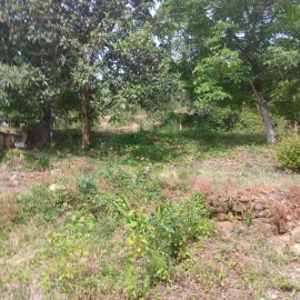 Terreno para Venda em Assafarge e Antanhol