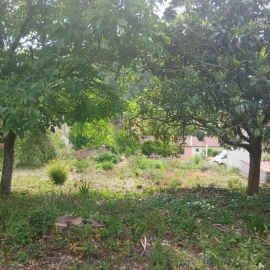 Terreno para Venda em Assafarge e Antanhol