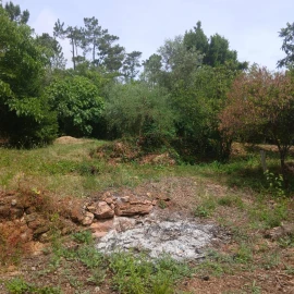 Terreno para Venda em Assafarge e Antanhol