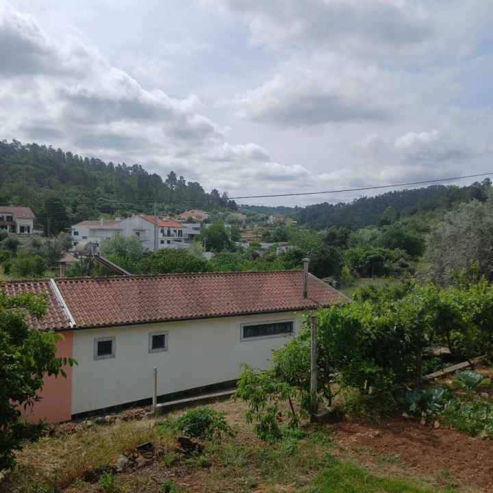 Terreno para Venda em Assafarge e Antanhol Foto 12