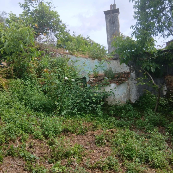 Terreno para Venda em Assafarge e Antanhol Foto 9