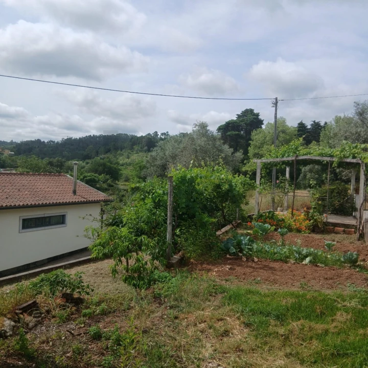 Terreno para Venda em Assafarge e Antanhol Foto 3