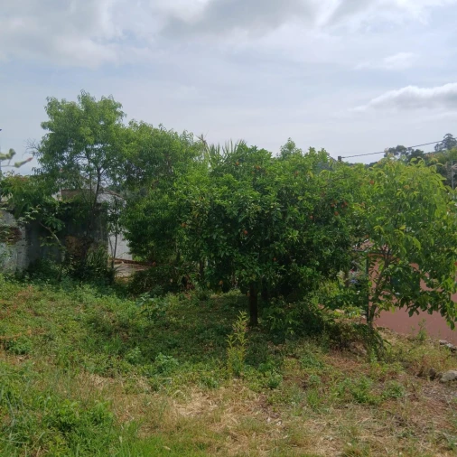 Terreno para Venda em Assafarge e Antanhol Foto 28